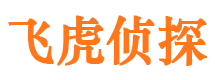 宕昌市侦探调查公司